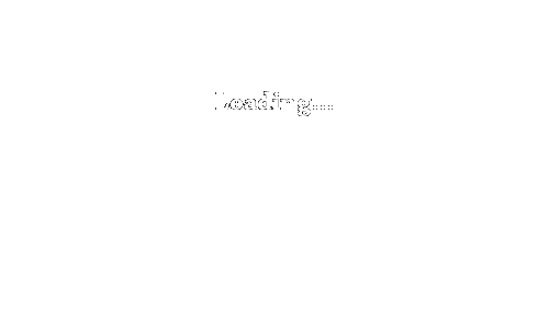 loading...